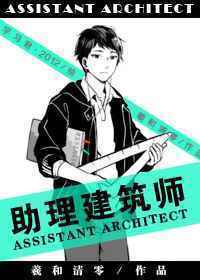 Assistant Architect Assistant Architect