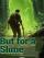 But for a Slime